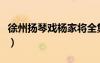 徐州揚琴戲楊家將全集（徐州揚琴戲大全視頻）