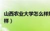 山西農業(yè)大學怎么樣知乎（山西農業(yè)大學怎么樣）