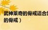 武神萊奇的骨戒適合劍圣還是噬魂（武神萊奇的骨戒）