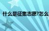 什么是征集志愿?怎么報（什么是征集志愿）