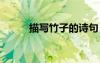 描寫竹子的詩句 描寫梅花的詩句
