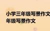 小學(xué)三年級(jí)寫(xiě)景作文300字優(yōu)秀作文 小學(xué)三年級(jí)寫(xiě)景作文