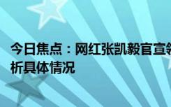 今日焦點(diǎn)：網(wǎng)紅張凱毅官宣領(lǐng)證!老公披頭紗好搞怪，詳細(xì)分析具體情況