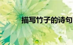 描寫竹子的詩句 描寫梅花的詩句