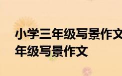 小學(xué)三年級(jí)寫(xiě)景作文300字優(yōu)秀作文 小學(xué)三年級(jí)寫(xiě)景作文