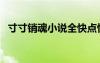 寸寸銷魂小說全快點快點（寸寸銷魂小說）