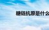 糖鏈抗原是什么（抗原是什么）