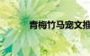 青梅竹馬寵文推薦（青梅竹馬）