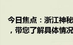 今日焦點(diǎn)：浙江神秘80后捅了個(gè)62億的窟窿，帶您了解具體情況