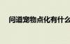 問道寵物點化有什么用（問道寵物點化）