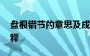 盤根錯節(jié)的意思及成語解釋 盤根錯節(jié)成語解釋