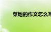菜地的作文怎么寫 菜地作文400字