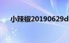 小辣椒20190629d參數(shù)（小辣椒雙核）