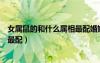 女屬鼠的和什么屬相最配婚姻最合適（女屬鼠的和什么屬相最配）
