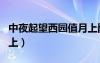 中夜起望西園值月上翻譯（中夜起望西園值月上）