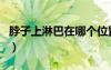 脖子上淋巴在哪個位置（脖子上的淋巴位置圖）