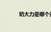 奶大力是哪個(gè)英雄（奶大力）