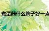 煮蛋器什么牌子好一點(diǎn)（煮蛋器什么牌子好）