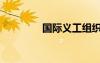 國際義工組織（國際義工）