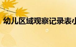 幼兒區(qū)域觀(guān)察記錄表小班 幼兒區(qū)域觀(guān)察記錄