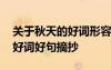 關(guān)于秋天的好詞形容秋天的成語(yǔ) 形容秋天的好詞好句摘抄