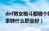 dnf男女格斗都哪個職業(yè)好玩（dnf男女格斗家轉什么職業(yè)好）