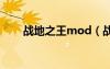 戰(zhàn)地之王mod（戰(zhàn)地之王最新外掛）