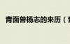 青面獸楊志的來(lái)歷（青面獸楊志的三件事）