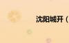 沈陽(yáng)城開（沈陽(yáng)空城）