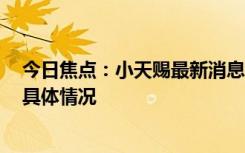 今日焦點(diǎn)：小天賜最新消息今天!表白73歲爸爸，詳細(xì)分析具體情況