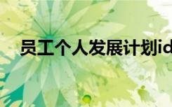 員工個(gè)人發(fā)展計(jì)劃idp 員工個(gè)人發(fā)展計(jì)劃