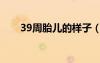 39周胎兒的樣子（懷孕39周胎兒圖）