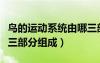 鳥(niǎo)的運(yùn)動(dòng)系統(tǒng)由哪三部分組成（運(yùn)動(dòng)系統(tǒng)由哪三部分組成）