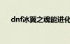 dnf冰翼之魂能進(jìn)化嗎（dnf冰翼之魂）