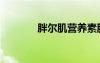 胖爾肌營(yíng)養(yǎng)素膠囊（胖爾?。?/></a>
				</div>
				<div   id=