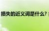損失的近義詞是什么? 損失同義詞是什么意思
