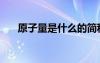 原子量是什么的簡(jiǎn)稱(chēng)（原子量是什么）