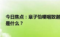 今日焦點(diǎn)：章子怡哽咽致謝張藝謀!要演到70歲，具體情況是什么？