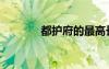 都護(hù)府的最高長官（都護(hù)府）