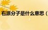 右派分子是什么意思（右翼分子是什么意思）