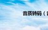 音質(zhì)轉(zhuǎn)碼（音質(zhì)轉(zhuǎn)換器）