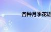 各種月季花語（月季花語）