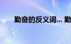 勤奮的反義詞... 勤奮的反義詞是什么