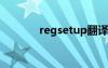 regsetup翻譯（setup翻譯）