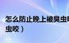 怎么防止晚上被臭蟲咬人（怎么防止晚上被臭蟲咬）