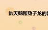 仇天鵝和敖子龍的愛(ài)情糾葛（仇天鵝）