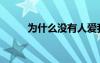 為什么沒有人愛我（沒有人愛我）