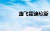 路飛霍迪瓊斯（路飛對(duì)霍迪）