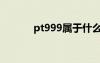 pt999屬于什么材質(zhì)（pt999）