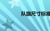 隊(duì)旗尺寸標(biāo)準(zhǔn)（隊(duì)旗尺寸）